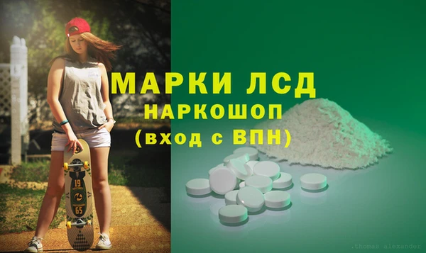 шишки Аркадак